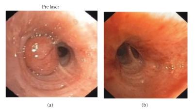 https://cdn.ncbi.nlm.nih.gov/pmc/blobs/855c/2821777/f75eb9cb8c81/DTE2009-782961.001.jpg