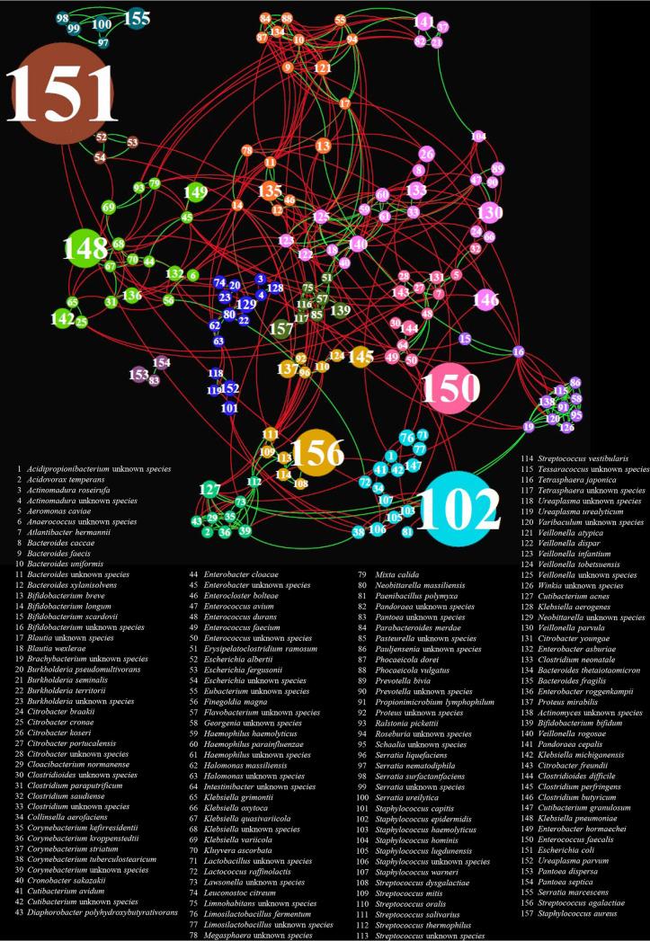 https://cdn.ncbi.nlm.nih.gov/pmc/blobs/855c/8549755/22a102866f8a/spectrum.01176-21-f003.jpg