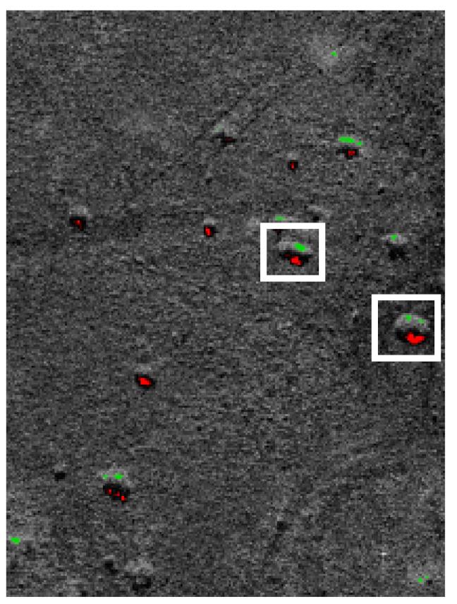 https://cdn.ncbi.nlm.nih.gov/pmc/blobs/8561/8915099/9f50d04dfc00/sensors-22-02068-g010.jpg