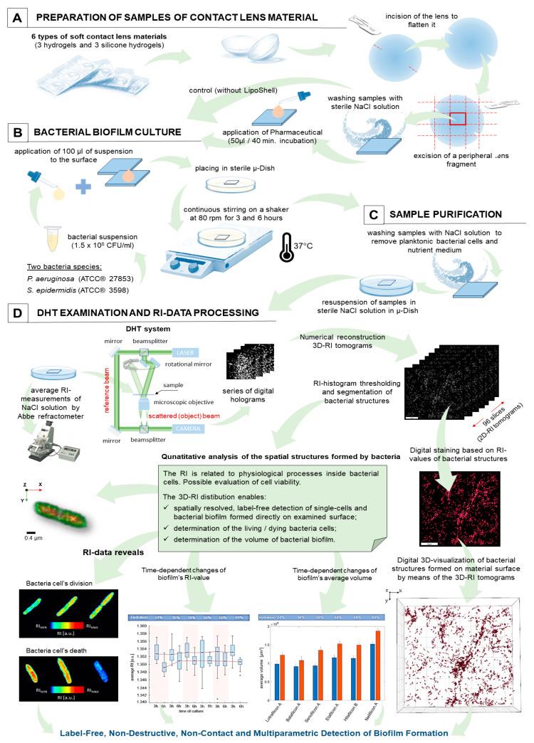 https://cdn.ncbi.nlm.nih.gov/pmc/blobs/8563/10932241/d3440b97e5d3/ijms-25-02653-g004.jpg