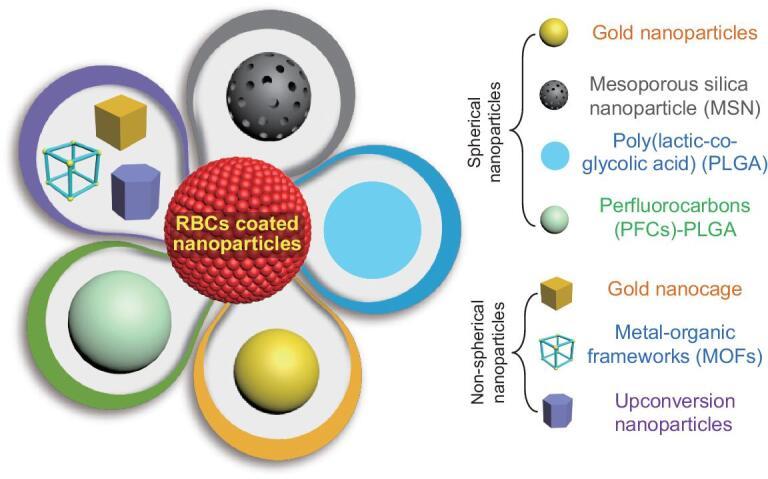 https://cdn.ncbi.nlm.nih.gov/pmc/blobs/8563/8291551/3e2e77a0e196/nwz037fig1.jpg