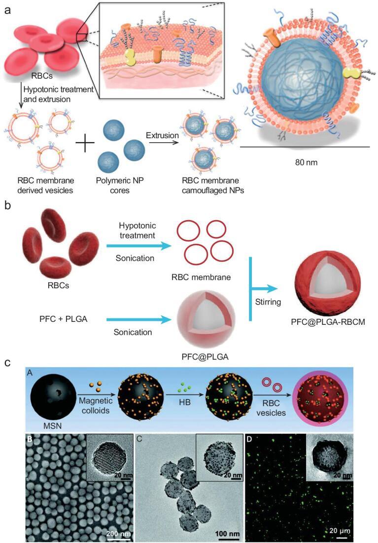 https://cdn.ncbi.nlm.nih.gov/pmc/blobs/8563/8291551/c4356e60f7bc/nwz037fig2.jpg