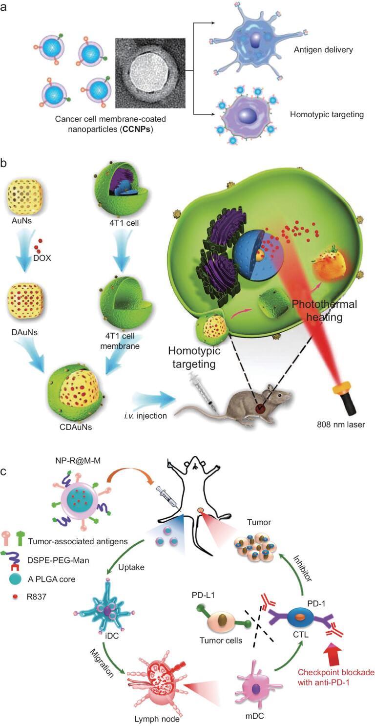https://cdn.ncbi.nlm.nih.gov/pmc/blobs/8563/8291551/d9948231eb35/nwz037fig4.jpg