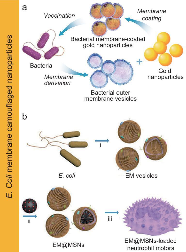 https://cdn.ncbi.nlm.nih.gov/pmc/blobs/8563/8291551/ec90d0152cd5/nwz037fig5.jpg