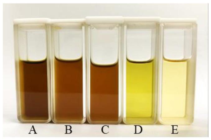 https://cdn.ncbi.nlm.nih.gov/pmc/blobs/8564/9854576/5164415dcfde/antibiotics-12-00181-g006.jpg