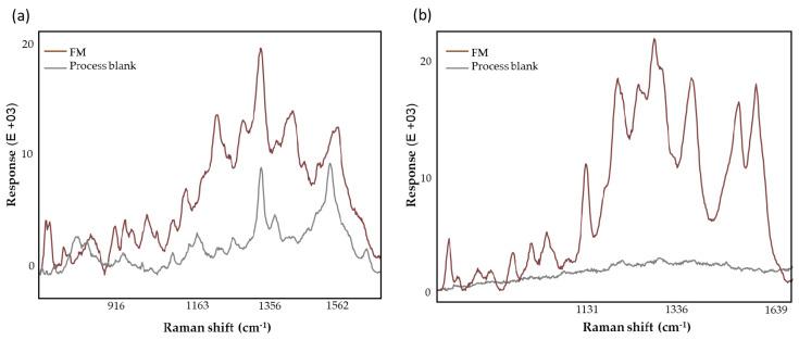 https://cdn.ncbi.nlm.nih.gov/pmc/blobs/8566/11275161/51936176db22/biomedicines-12-01447-g003.jpg
