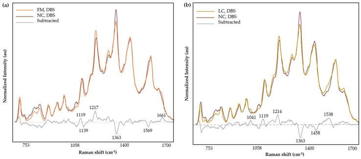 https://cdn.ncbi.nlm.nih.gov/pmc/blobs/8566/11275161/54676056961d/biomedicines-12-01447-g006.jpg