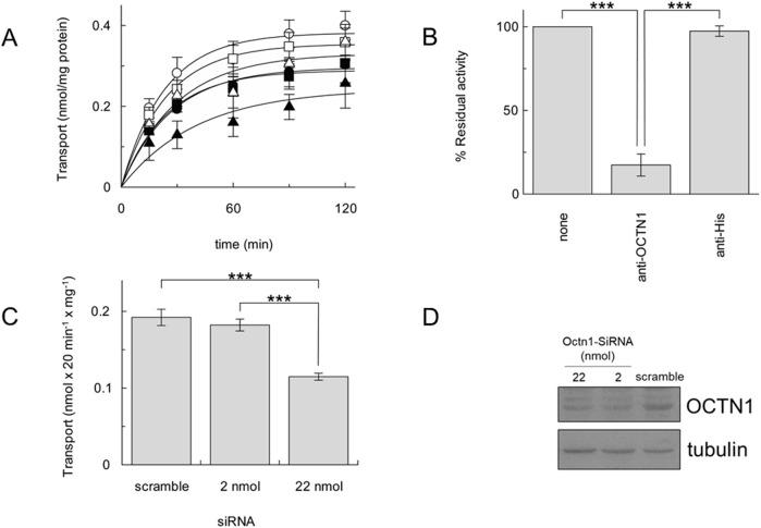 https://cdn.ncbi.nlm.nih.gov/pmc/blobs/8567/11666908/1e507178e4de/fmolb-11-1512530-g002.jpg