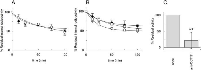 https://cdn.ncbi.nlm.nih.gov/pmc/blobs/8567/11666908/6515d7bd1379/fmolb-11-1512530-g004.jpg