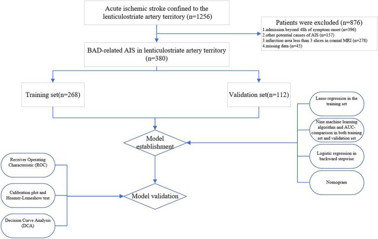 https://cdn.ncbi.nlm.nih.gov/pmc/blobs/8567/11668809/65580e9759c0/fnins-18-1496810-g004.jpg