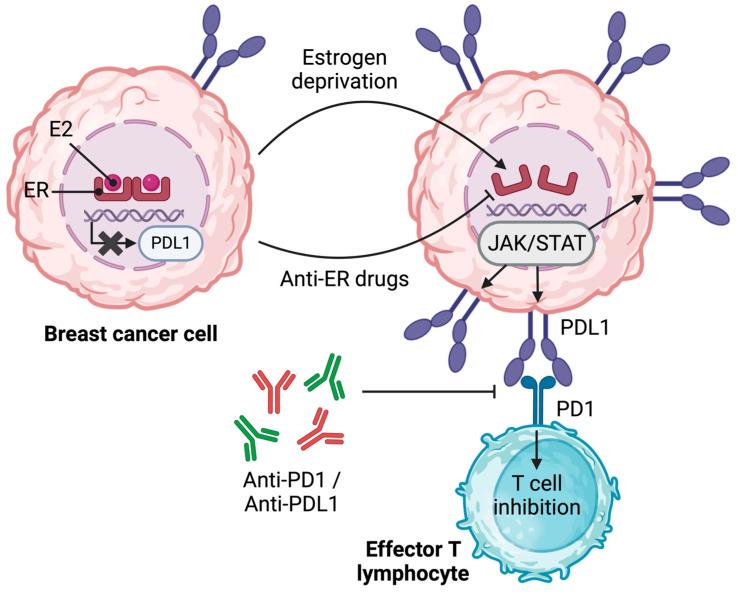 https://cdn.ncbi.nlm.nih.gov/pmc/blobs/856a/10606577/6b100e2ef033/ijms-24-15048-g004.jpg