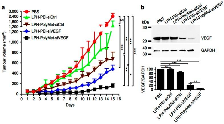 https://cdn.ncbi.nlm.nih.gov/pmc/blobs/856a/7013812/70d7261f718e/ijms-21-00455-g003.jpg