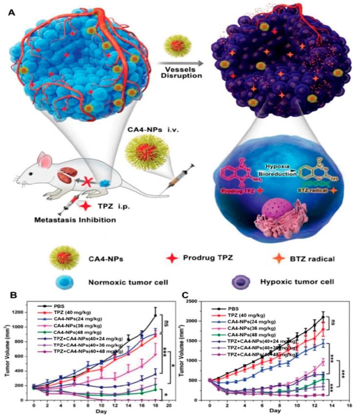 https://cdn.ncbi.nlm.nih.gov/pmc/blobs/856a/7013812/923a16116b25/ijms-21-00455-g005.jpg