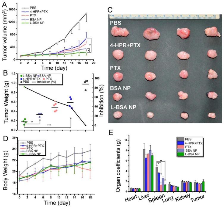 https://cdn.ncbi.nlm.nih.gov/pmc/blobs/856a/7013812/c9628bfcf685/ijms-21-00455-g007.jpg