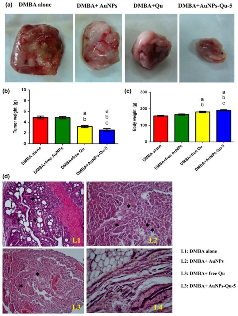 https://cdn.ncbi.nlm.nih.gov/pmc/blobs/856a/7013812/d1a0ba3325d5/ijms-21-00455-g006.jpg