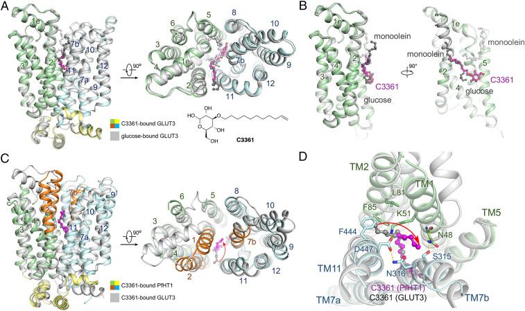 https://cdn.ncbi.nlm.nih.gov/pmc/blobs/856e/7826358/a207513f2414/pnas.2017749118fig02.jpg