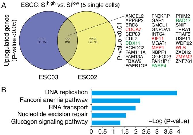 https://cdn.ncbi.nlm.nih.gov/pmc/blobs/8570/6489016/47d674ee7701/OR-41-06-3201-g02.jpg