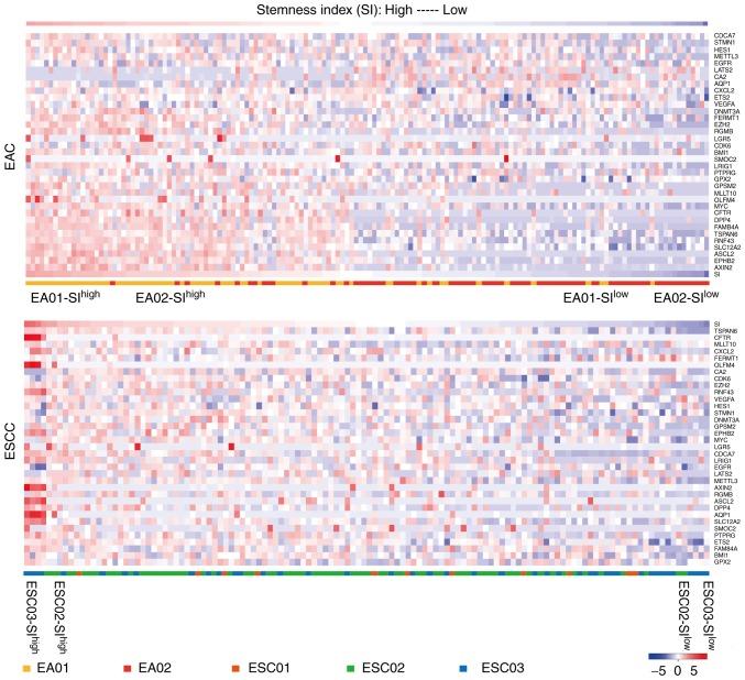 https://cdn.ncbi.nlm.nih.gov/pmc/blobs/8570/6489016/7453553b6bcf/OR-41-06-3201-g00.jpg