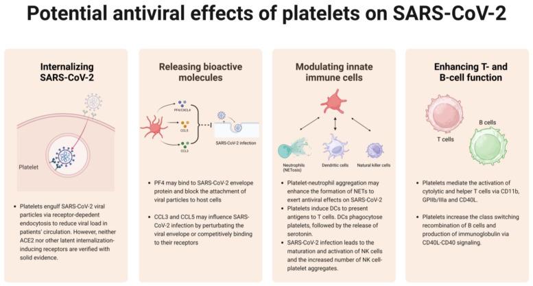 https://cdn.ncbi.nlm.nih.gov/pmc/blobs/8574/10531760/52efe61ce0d2/ijms-24-14133-g002.jpg