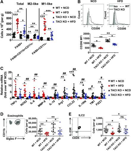 https://cdn.ncbi.nlm.nih.gov/pmc/blobs/8577/6054430/09b4a1e7ab98/db171089f3.jpg