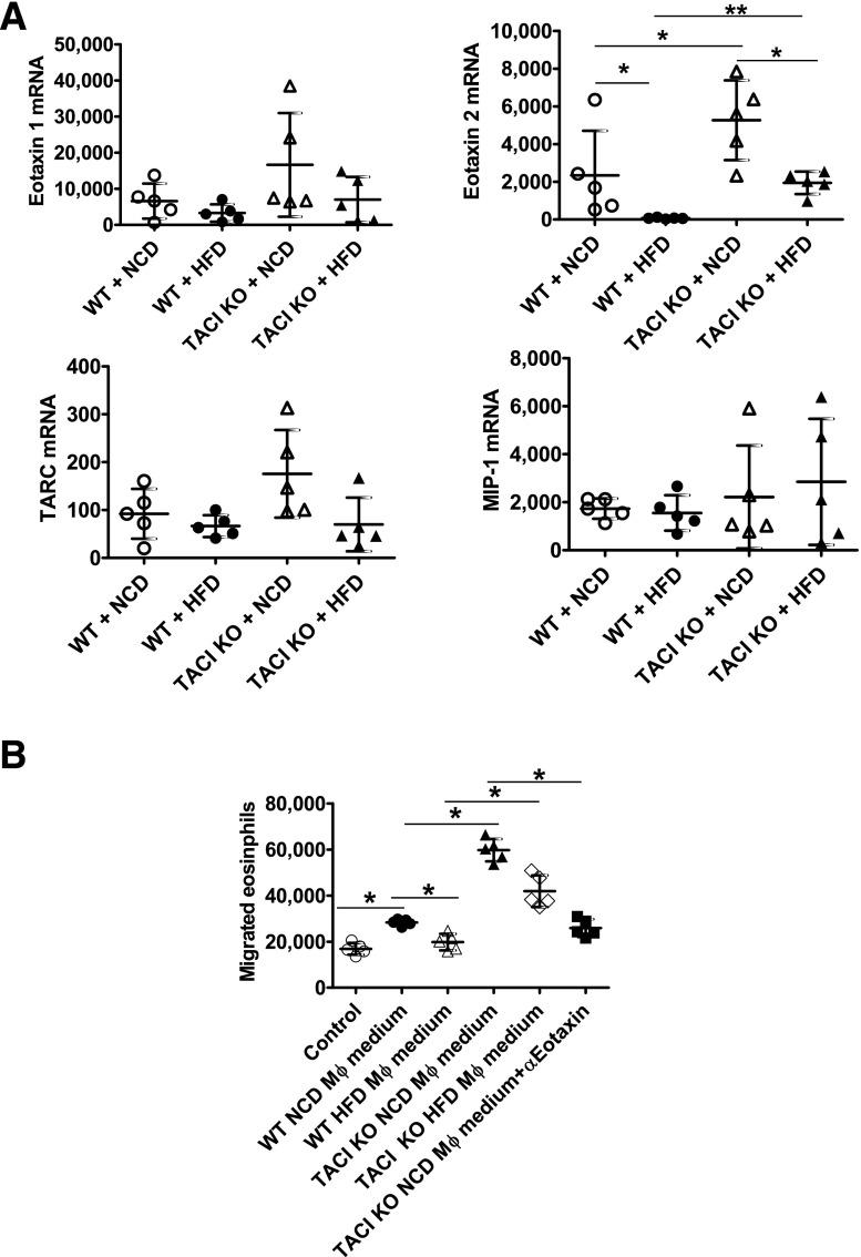 https://cdn.ncbi.nlm.nih.gov/pmc/blobs/8577/6054430/204089b92d85/db171089f7.jpg