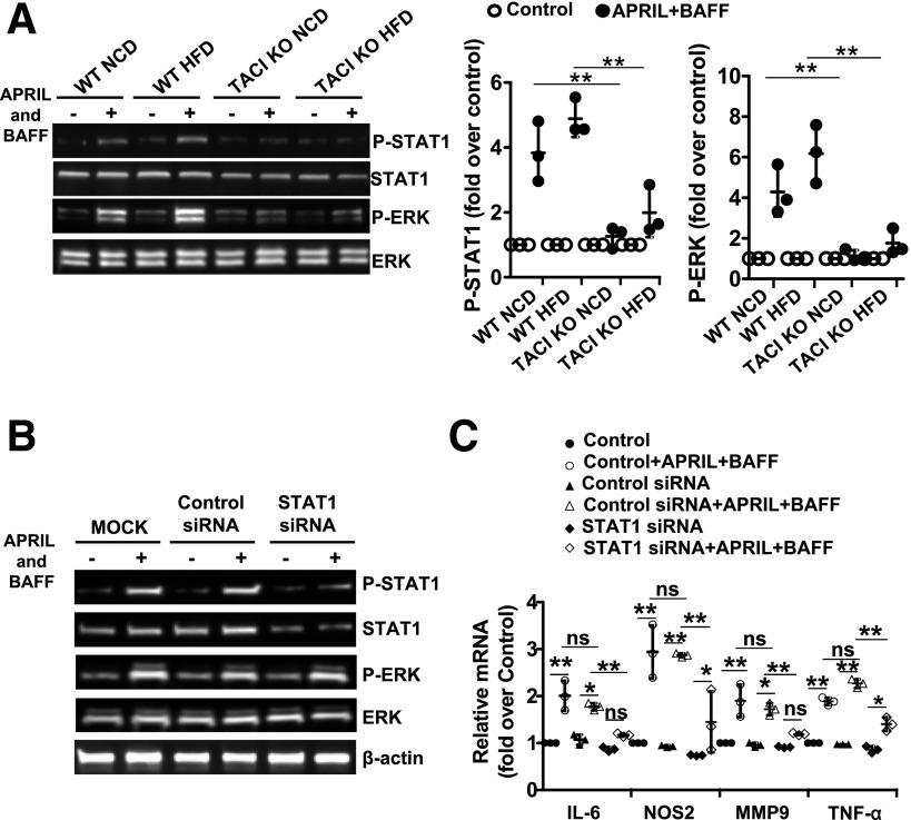 https://cdn.ncbi.nlm.nih.gov/pmc/blobs/8577/6054430/46c80b798b1f/db171089f4.jpg