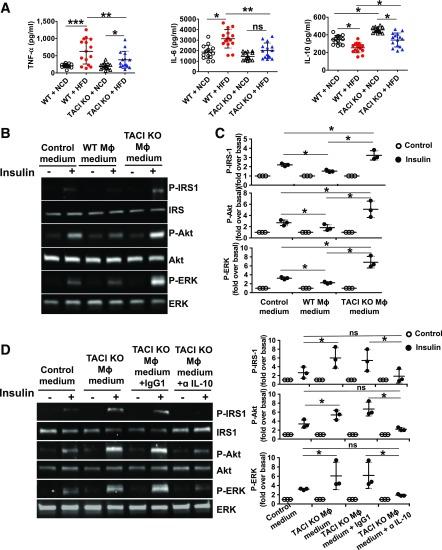 https://cdn.ncbi.nlm.nih.gov/pmc/blobs/8577/6054430/50ed56edcc0e/db171089f8.jpg