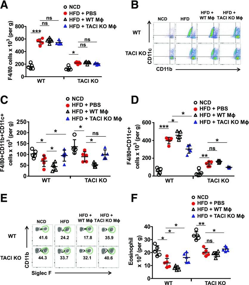 https://cdn.ncbi.nlm.nih.gov/pmc/blobs/8577/6054430/be293db690de/db171089f6.jpg
