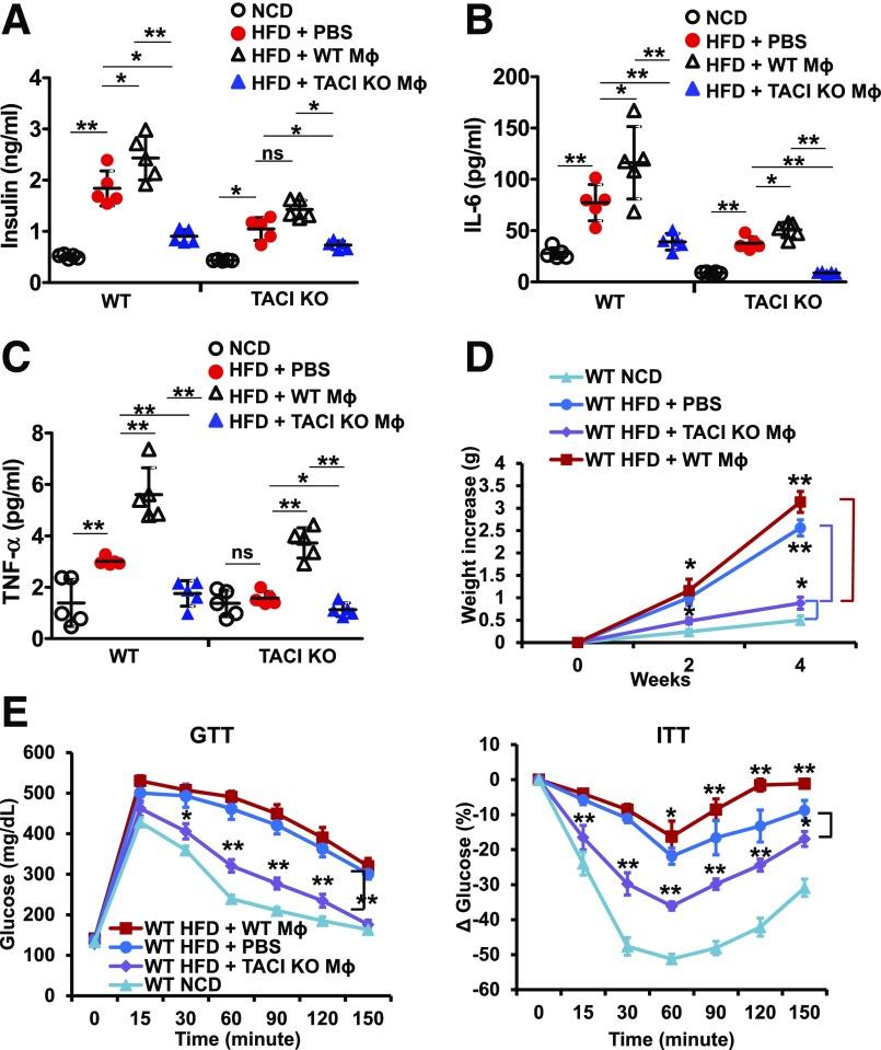https://cdn.ncbi.nlm.nih.gov/pmc/blobs/8577/6054430/dbc1627670f1/db171089f5.jpg