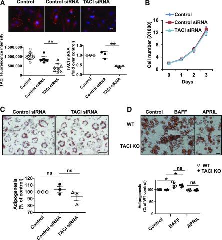https://cdn.ncbi.nlm.nih.gov/pmc/blobs/8577/6054430/eccf4b35a5be/db171089f2.jpg