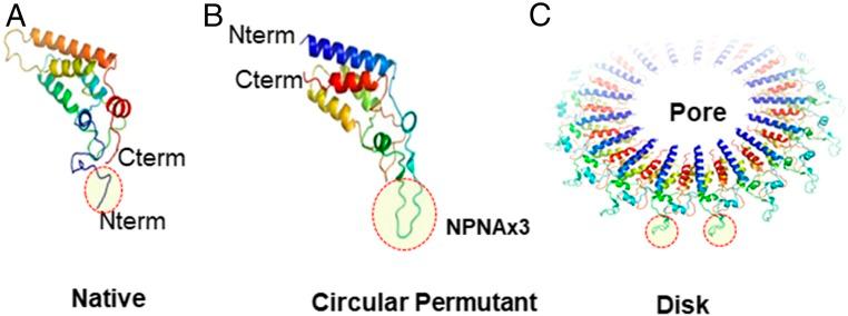 https://cdn.ncbi.nlm.nih.gov/pmc/blobs/8577/7022184/68001efea2f0/pnas.1911792117fig01.jpg