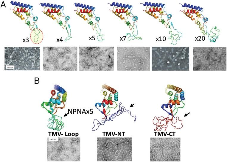 https://cdn.ncbi.nlm.nih.gov/pmc/blobs/8577/7022184/932aa52bc346/pnas.1911792117fig02.jpg