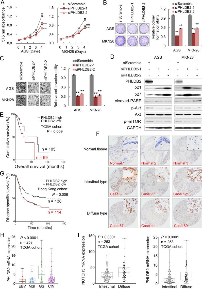 https://cdn.ncbi.nlm.nih.gov/pmc/blobs/8577/7932926/cf59cee03139/41388_2020_1579_Fig6_HTML.jpg