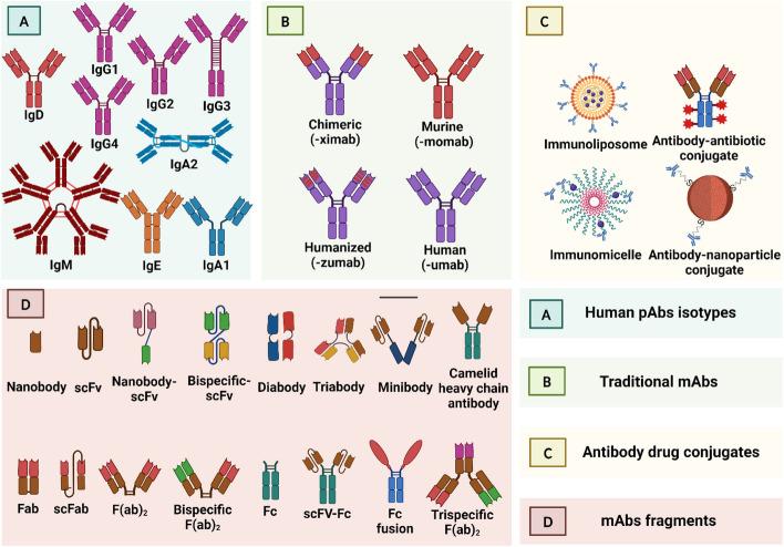 https://cdn.ncbi.nlm.nih.gov/pmc/blobs/8578/11467159/5ad6b163ca66/43556_2024_210_Fig2_HTML.jpg