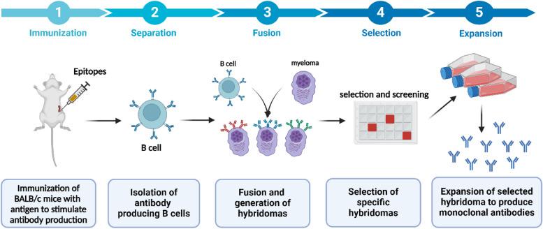 https://cdn.ncbi.nlm.nih.gov/pmc/blobs/8578/11467159/88b8948499c8/43556_2024_210_Fig3_HTML.jpg