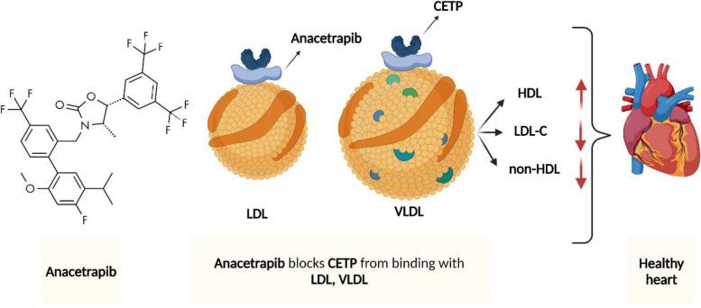 https://cdn.ncbi.nlm.nih.gov/pmc/blobs/8578/11467159/ed4019cca2c6/43556_2024_210_Fig4_HTML.jpg