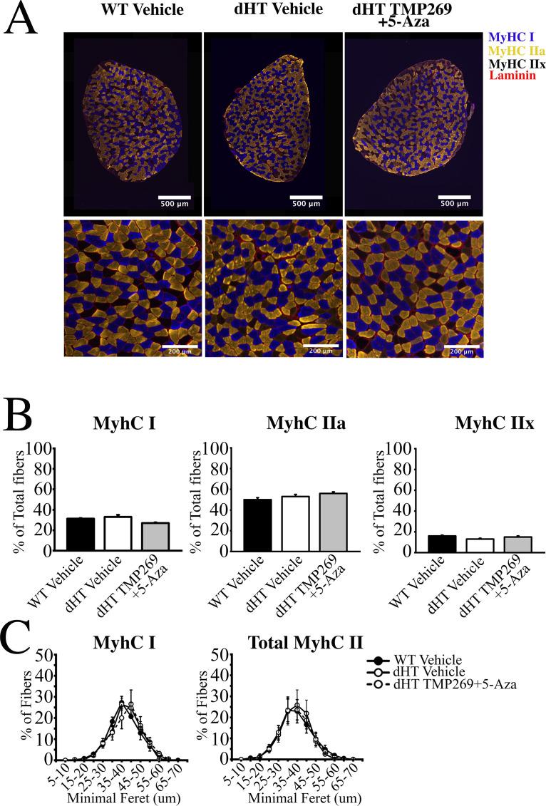 https://cdn.ncbi.nlm.nih.gov/pmc/blobs/857a/8956288/489109ff3069/elife-73718-fig3.jpg