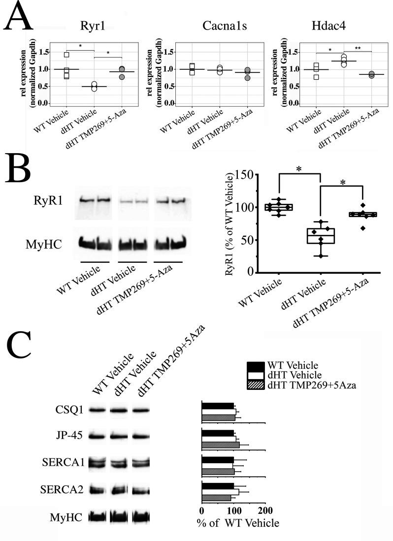https://cdn.ncbi.nlm.nih.gov/pmc/blobs/857a/8956288/6cb5062683a1/elife-73718-fig5.jpg