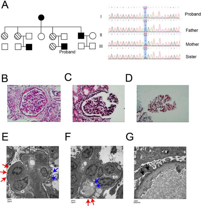 https://cdn.ncbi.nlm.nih.gov/pmc/blobs/857b/12086199/016360d2d79d/41598_2025_1663_Fig1_HTML.jpg