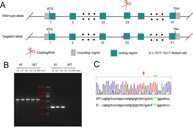 https://cdn.ncbi.nlm.nih.gov/pmc/blobs/857b/12086199/03cfa10cabe3/41598_2025_1663_Fig3_HTML.jpg