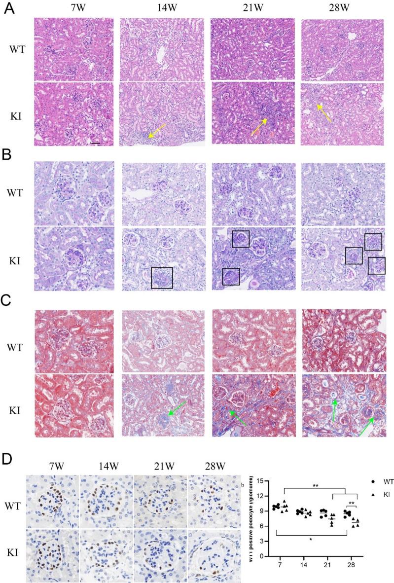https://cdn.ncbi.nlm.nih.gov/pmc/blobs/857b/12086199/13d29e84ae88/41598_2025_1663_Fig5_HTML.jpg