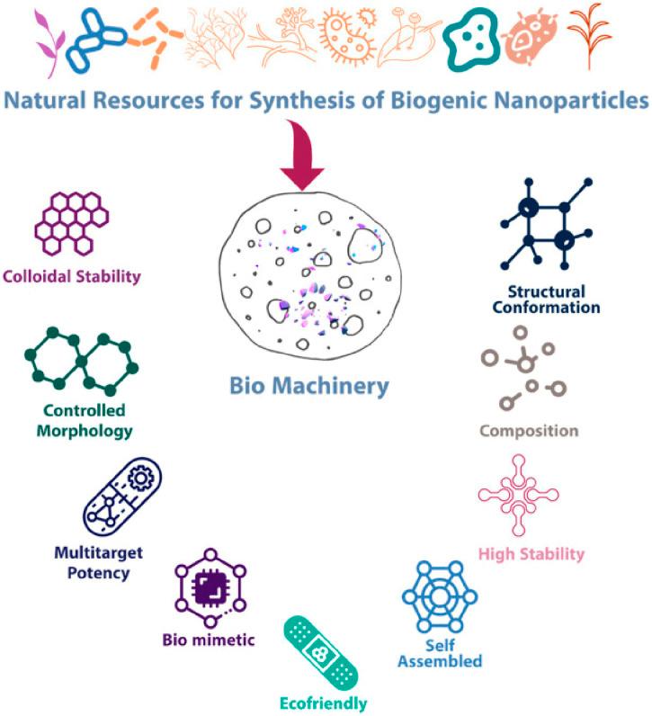 https://cdn.ncbi.nlm.nih.gov/pmc/blobs/857e/12307466/0f271ac1a734/fbioe-13-1637589-g001.jpg