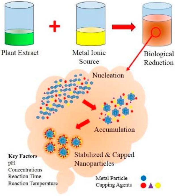 https://cdn.ncbi.nlm.nih.gov/pmc/blobs/857e/12307466/93b18a6a57b2/fbioe-13-1637589-g002.jpg
