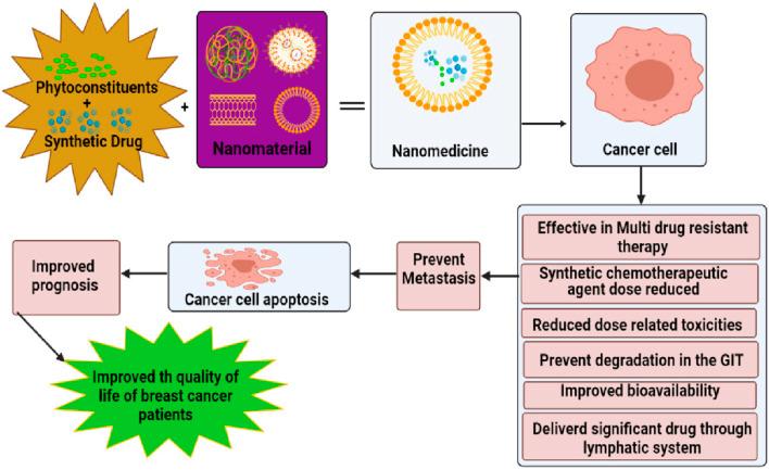 https://cdn.ncbi.nlm.nih.gov/pmc/blobs/857e/12307466/f89b11da5410/fbioe-13-1637589-g004.jpg