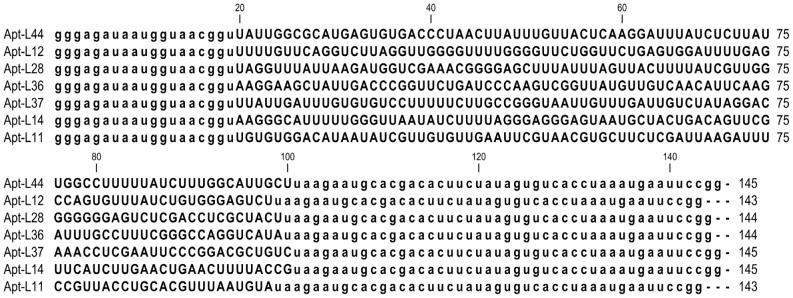 https://cdn.ncbi.nlm.nih.gov/pmc/blobs/857e/3894185/8ef758bd8a11/pntd.0002650.g002.jpg