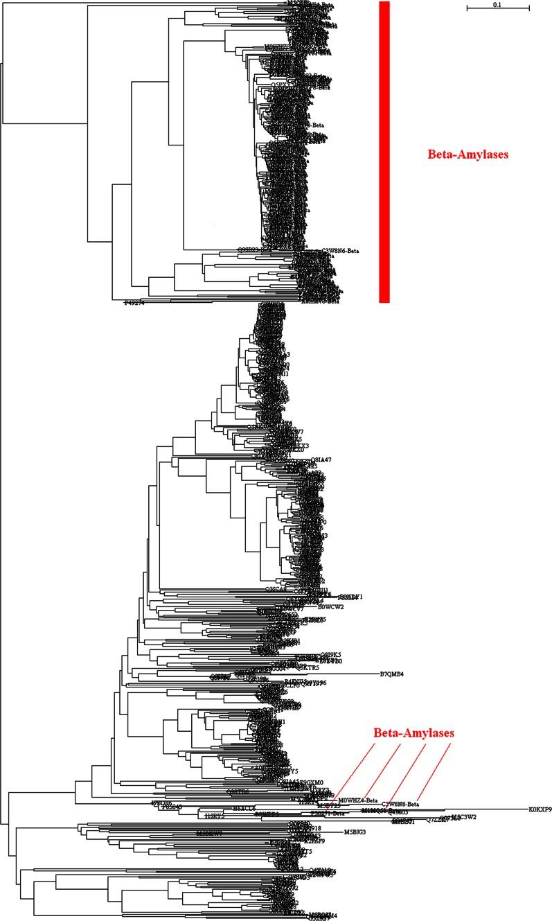 https://cdn.ncbi.nlm.nih.gov/pmc/blobs/857e/4706583/4622904fc1ea/11274_2015_1979_Fig4_HTML.jpg