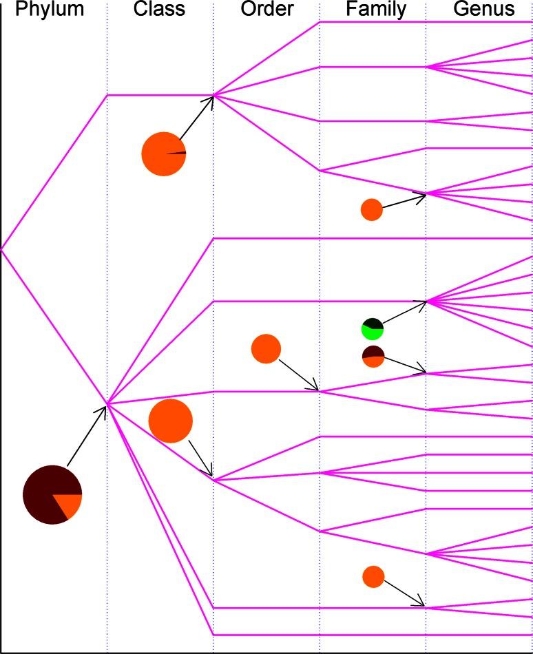 https://cdn.ncbi.nlm.nih.gov/pmc/blobs/857e/4706583/aa5bfc55a4ef/11274_2015_1979_Fig3_HTML.jpg