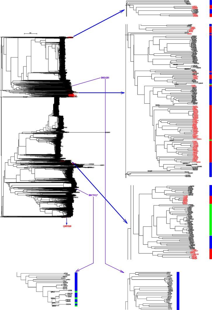 https://cdn.ncbi.nlm.nih.gov/pmc/blobs/857e/4706583/d1099768f560/11274_2015_1979_Fig10_HTML.jpg