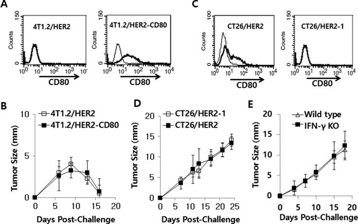 https://cdn.ncbi.nlm.nih.gov/pmc/blobs/857e/5432296/594e25271485/oncotarget-08-26771-g007.jpg
