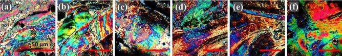 https://cdn.ncbi.nlm.nih.gov/pmc/blobs/857f/10133346/de849197b0d7/41598_2023_31668_Fig8_HTML.jpg